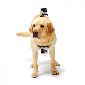 Крепление на собаку для экшн камер AC Prof